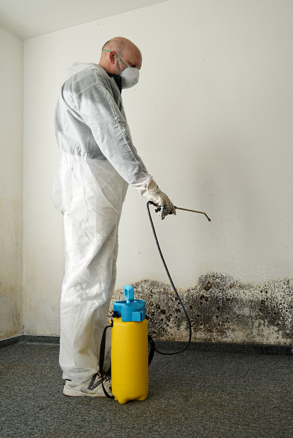 Mold Testing